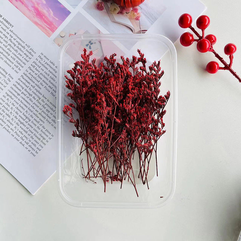 Wholesale Dried Fruit Cinnamon Dried Flowers Diy Material Package Natural Plant Candle Handmade Plaster Making Decoration